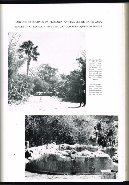 31592 a arte em mocambique alberto feliciano marques pereira (2).jpg
